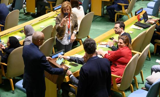 L'Assemblée générale de l'ONU élit 15 nouveaux membres au Conseil des droits de l'homme